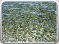 SAM_0346