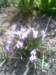 photo4_small.jpg
